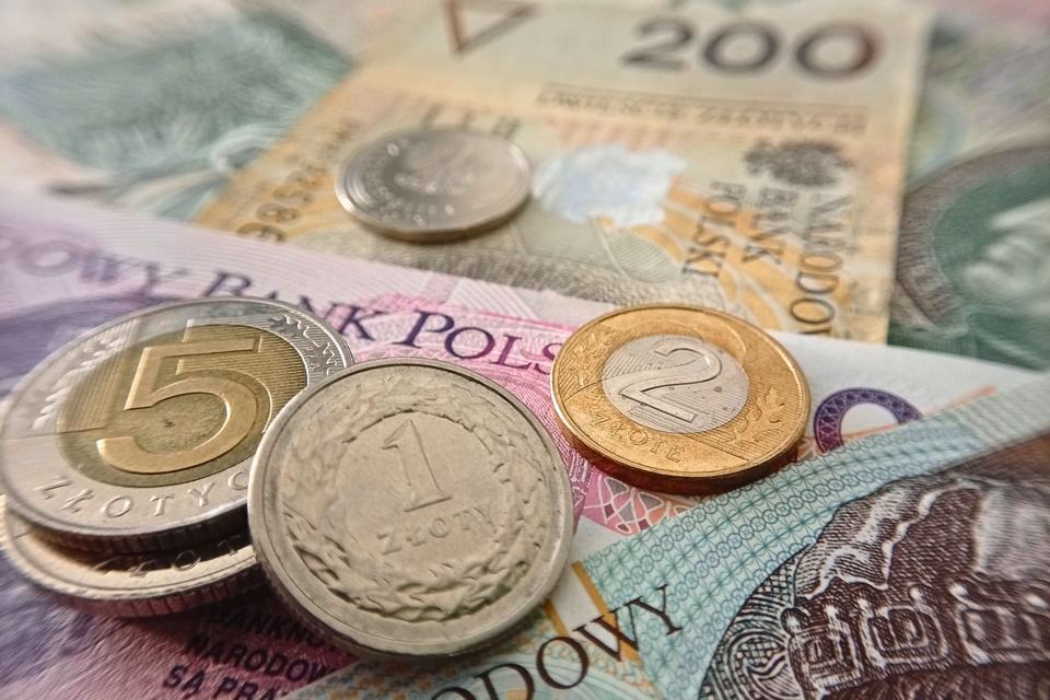 Polish zloty: coins and banknotes