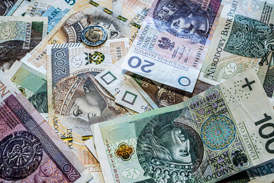 Polish banknotes and coins close-up